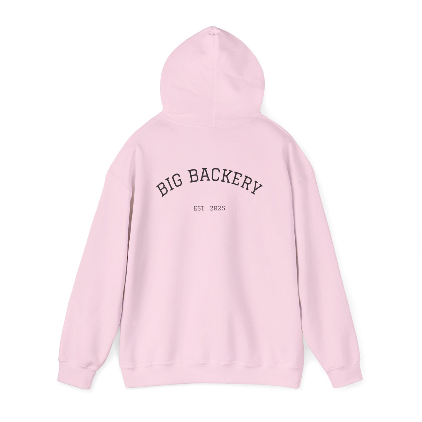 BIG BACK PUMP COVER