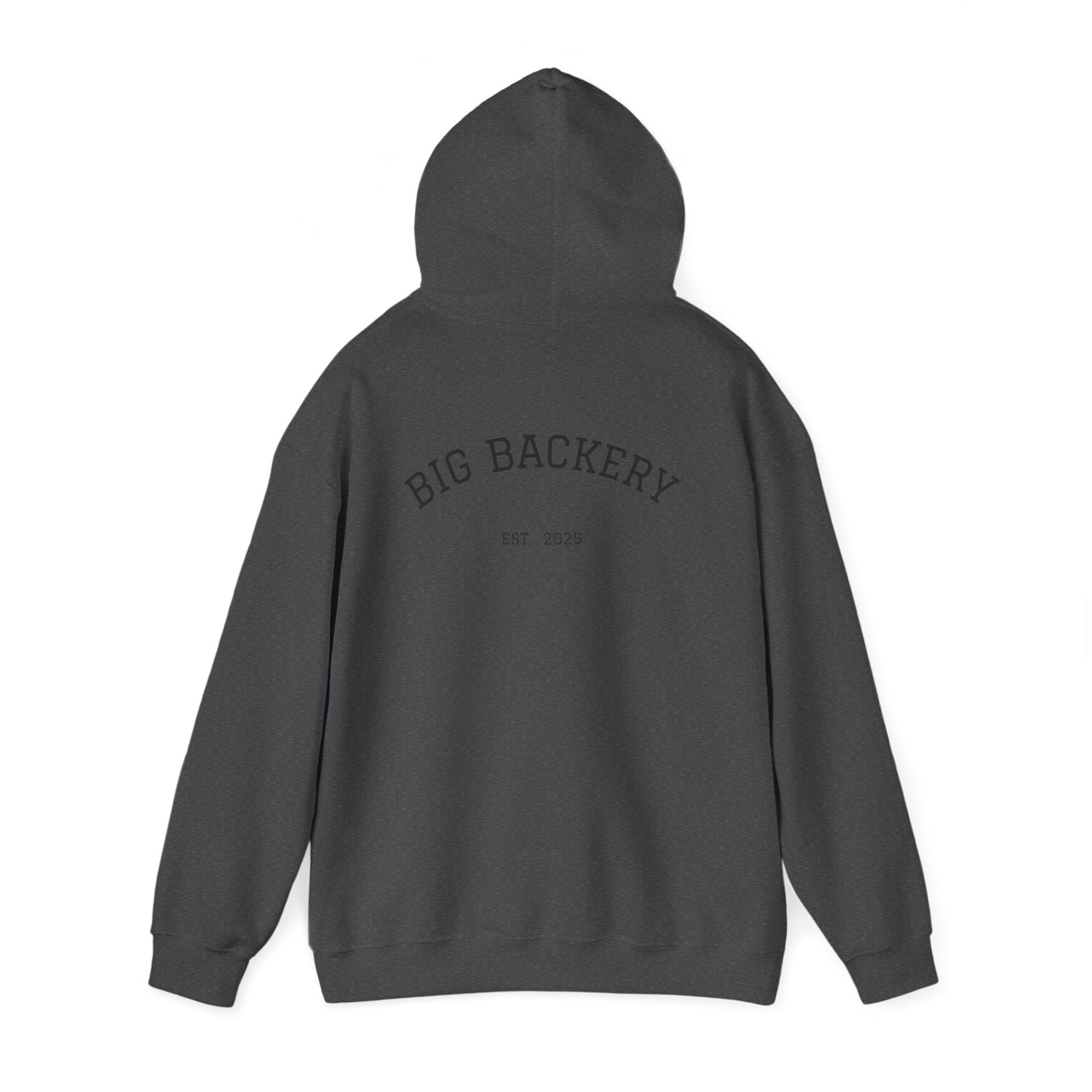 BIG BACK PUMP COVER